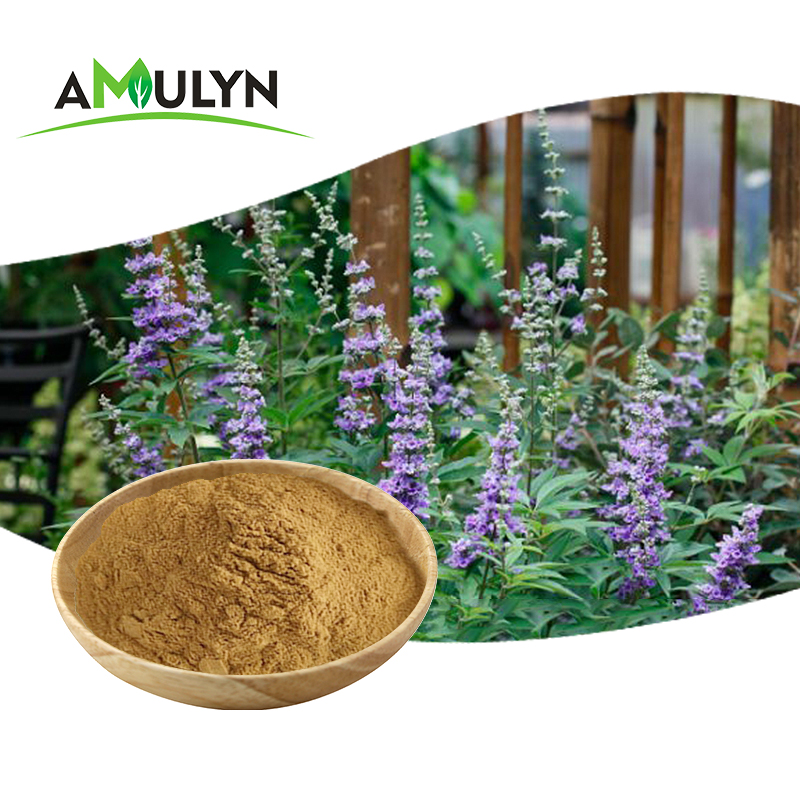 AMULYN Chasteberry экстракт фруктов Vitex Agnus-castus экстракт порошка