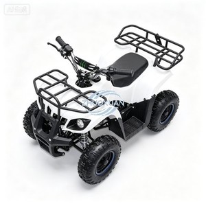 Quad électrique récréatif pour enfants, mini véhicule tout-terrain à quatre roues avec moteur 36V 500W - Product Image 3