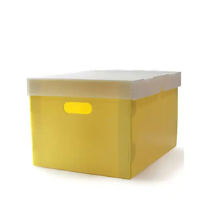 Bền sóng nhựa tập tin lưu trữ hộp PP vật liệu cắt dịch vụ xử lý cho tài liệu lưu trữ - Product Image 5