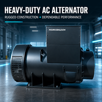 Alternateur AC sans balais industriel 320 kW 400 kVA avec AVR type Stamford pour groupe électrogène diesel