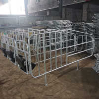 Lit de gestation galvanisé pour truies, boxes de mise bas pour porcs, sols de parcs porcins, équipement d'élevage pour truies à vendre