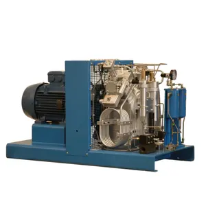 Consegna rapida Mini compressore 3000 CFM 3000 PSI Booster R-22 ad alta pressione 12V 24V per macchina Cnc