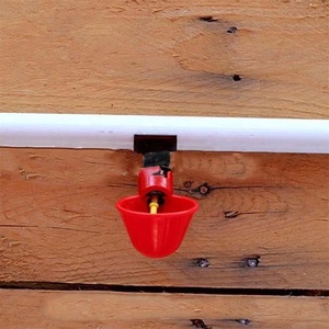 Aves de corral suministros pollo Waterer potable tazas con fijo hebilla DN20 tubo automático pollo bebedor - Product Image 4