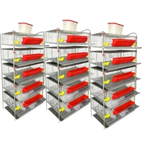 Cage à Cailles Commerciale Type H Durable pour la Gestion Moderne de la Volaille en Ferme – Cages Écologiques pour la Production d'Œufs