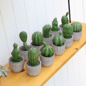 Pianta <span class=keywords><strong>verde</strong></span> piccola pianta decorativa in vaso Mini pianta artificiale succulenta Bonsai ad alta simulazione di plastica <span class=keywords><strong>Cactus</strong></span> palla <span class=keywords><strong>Cactus</strong></span> - Product Image 4