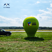 Salon commercial lançant le ballon adhésif de volley-ball et de sol d'Inflatables pour la publicité efficace