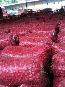 2025 Oignons rouges en vrac de qualité supérieure du Vietnam Oignon rouge frais exportation de gros produits agricoles - Product Image 6