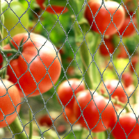 Filets anti-oiseaux tricotés en gros Filets en plastique en treillis métallique anti-oiseaux pour usage agricole, coupés à la commande pour les jardins potagers
