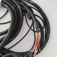 Harnais de câblage étanche personnalisé OEM ODM, pour machines de construction, motos, tout-terrain et assemblages de câbles pour vélos électriques