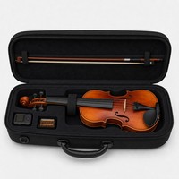 Étui rigide personnalisé pour violon, guitare, ukulélé, étanche, antichoc, portable avec poignée, insert en mousse, vente en gros, logo personnalisé