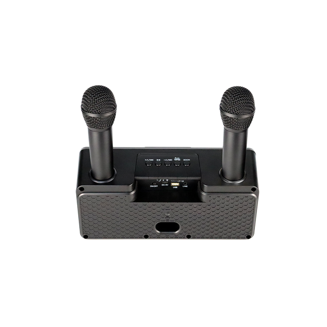 Microlab Portable Blue Tooth Speaker Mini KTV100 With Wireless Microphone