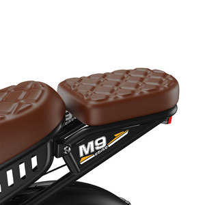 จักรยานเสือภูเขาไฟฟ้า VELOPR M9 แบตเตอรี่ลิเธียมคู่ ระบบเบรกไฮดรอลิก สำหรับทุกสภาพพื้นผิว กำลังไฟ 250 วัตต์ 48 โวลต์ 35 แอมป์ชั่วโมง - Product Image 5