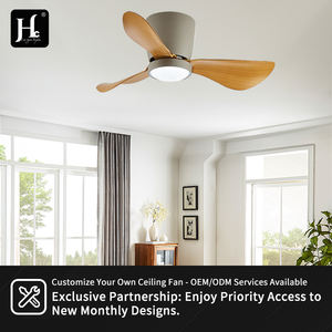 Ventilador de Techo Personalizado OEM ODM de Tamaño Pequeño de 24 Pulgadas para Sala de Estar Interior con Control Remoto y Luces LED - Product Image 4