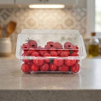 Contenitore per Alimenti Usa e Getta in PET Riciclabile con Design a Conchiglia, Goffrato, per Prodotti Agricoli, Frutta e Verdura