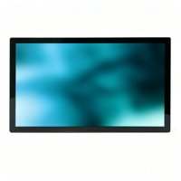 Monitor Táctil Capacitivo AWSTOUCH de Varios Tamaños (15.6, 18.5, 21.5, 23.6, 27, 32 Pulgadas) con RK3288, RK3399, RK3568, Android, PC Todo en Uno