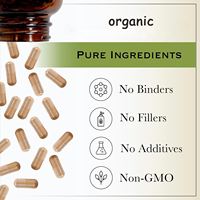 Capsules de Panax Ginseng et de Maca - Non destiné aux femmes enceintes - Soutien énergétique et immunitaire - 2 capsules par portion - 60 unités