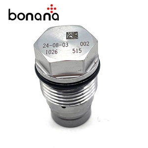 Válvula de Alivio de Presión de Combustible Common Rail OEM 1110010026 para Fiat Lancia Man NG NL NM - Product Image 2