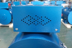 LANDTOP STC ST Générateur Dynamo Alternateur 3-50kw Générateur AC 60Hz Fréquence Brosse <span class=keywords><strong>Excitation</strong></span> 400v/230v/12v Nominale - Product Image 5