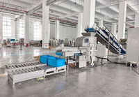 Fruitgroente Oranje Citroen Aardbei Druif Cherry Tomaat Mango Pulp Verwerkingsmachine