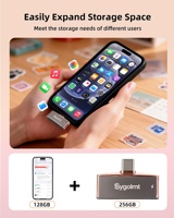 Flashdisk USB Baru Bahan Zinc Alloy Garansi 2 Tahun Enkripsi USB 3.0/3.1/3.2 Tipe-C