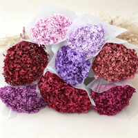 Bunga Hydrangea Anna Kering Grosir, Hydrangea Putih Murni, Bunga Pernikahan, Buket Besar, Hydrangea Awet untuk Dekorasi Acara