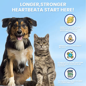 Productos para Mascotas, Suplementos y Vitaminas para Perros, Tabletas para la Salud del Corazón, Alivio del Estrés Cardíaco, Alimento Saludable, Golosinas para Mascotas, Cuidado <span class=keywords><strong>de</strong></span> Mascotas - Product Image 5