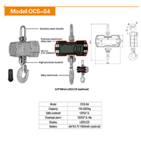 Báscula de Grúa de Precisión Impermeable, Capacidad de 100 kg, Pantalla LCD/LED de 115 mm, Tara Remota para Pruebas en Laboratorios Húmedos, OEM ODM Junebreath