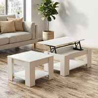 Table basse moderne pour salon, durable, portable, convertible, pliable, avec plateau relevable, hauteur réglable, écologique, facile à nettoyer, avec rangement