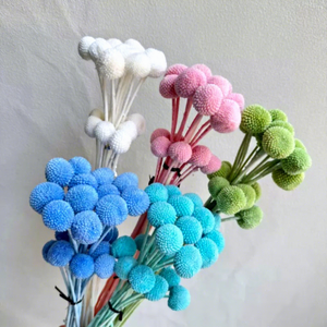 Bouquet de Boutons de Billy Conservés avec 20 Tiges pour Décorations de Mariage, Fête des Mères, Noël - Longue Durée - Product Image 2