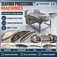 Usine de Produits de la Mer Portionneuse de Poisson Acier Inoxydable 304 Entraînement par Réducteur pour Courbine Jaune Morceaux