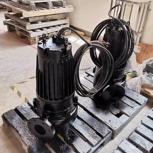 Bomba Sumergible para Aguas Residuales Kaipude WQ25-30-5.5 Tipo WQ, 1 Año de Garantía, Productividad de 1000 L/Hora, 380V, 5.5 kW, 175 kg - Product Image 5