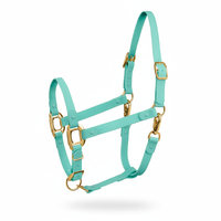 En gros, Collier de tête de cheval réglable, finition plaquée, robuste, antidérapant et durable, pour usage industriel et entraînement