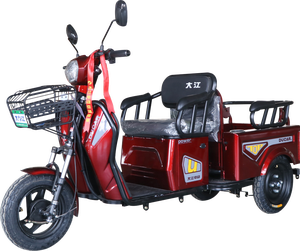 Tricycle for Disabled Adults Open Body 500W Motor <b>2</b> <b>Passengers</b> 850x800mm Box - Product Image 1