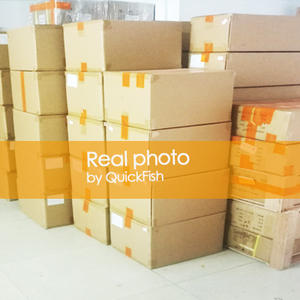 Agente de exportación de carga aérea a EE. UU./Kenia/Jordania/Abu Dhabi/Sharjah/DDP Sea Shipping Fba Amazon UPS Express Tasas Logística - Product Image 5