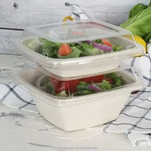 Vierkante Groothandel Biologisch Afbreekbare Bagasse Kom Afhaalmaaltijd 24Oz 32Oz Eco-Vriendelijke Suikerriet Bagasse Kom Composteerbare Voedselcontainer