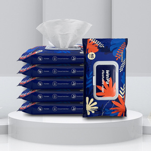 Toallitas húmedas para bebé Softcare antibacterianas OEM/ODM 80 unids/bolsa toallitas húmedas para inodoro femenino adulto sin perfume - Product Image 3