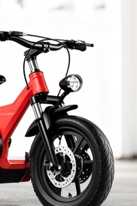 Vélo d'équilibre pour enfants avec roues d'apprentissage, directement de l'usine |   Vélo à une vitesse en acier avec frein à disque, phare rouge, panier en plastique, tailles 14-18 pouces - Product Image 5