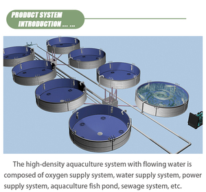 Système d'aquaculture à eau courante haute densité pour sites de pêche, équipement économique - Product Image 4