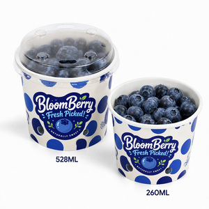 Eco-Friendly Vented Paper Blueberry <b>Cup</b> with Clear PET Lid PFAS Free FDA BPA Free Fresh Fruit Produce Packaging Custom Logo - Product Image 1