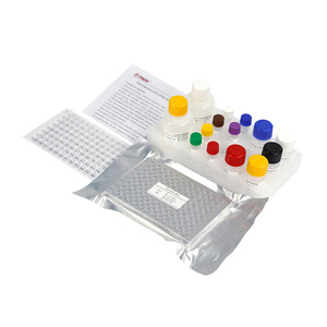 Quinolones (QNs) ELISA alat uji untuk makanan keselamatan pengujian dalam ikan udang bersertifikat CE sumur/<span class=keywords><strong>Kit</strong></span> penggunaan komersial & laboratorium - Product Image 5
