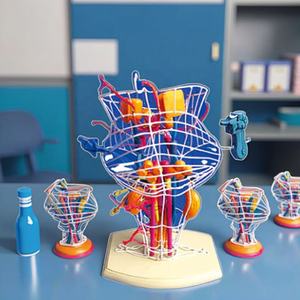 نواة الدماغ لمسار العصب القحفي والدماغ نموذج تشريحي طبي للمخ البشري-بولي فينيل كلوريد صديق للبيئة للتعليم الطبي - Product Image 3