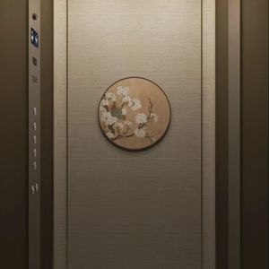 Ascensor Hidráulico Económico para Casa, Villa y Hotel, Funcionamiento Silencioso y Suave, Capacidad de Carga de 400 kg, Diseño Moderno otiss - Product Image 1