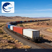 Service Ferroviaire Hebdomadaire de Transport de Marchandises de Wuhan vers l'Europe, Service de Ramassage et de Livraison, Service Ferroviaire Chine-Europe DDP