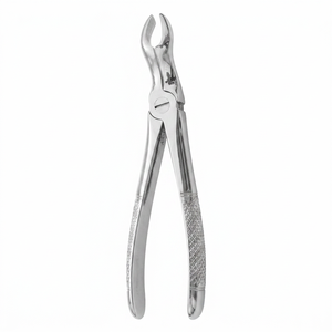 Tooth Extracting Forceps Upper Third Molars English Pattern <b>Dental</b> Surgical Instrument Stainless Steel <b>Equipment</b> Professional - Product Image 1
