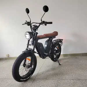 Electric 52V Bafang Motor 1000W Electric Bike Oil Brake Full Suspension 44Ah/52V Dual Battery Fast Long Range Fat Tire Electric Bike