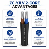 Cable de Alimentación ZC-YJLV de 2 Núcleos, Conductor de Aluminio, Aislamiento XLPE, 0.6/1kV Clase C, Revestimiento de PVC FR, IEC 60502 para Circuito Monofásico