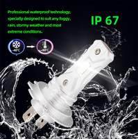 Led canbus longue durée de vie Non-polarité 40watts 4000lm Luces Led Para Auto Movil Meilleure et puissante ampoule de phare Led H7