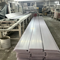 Panel de Techo de PVC Moderno Resistente al Fuego, Superficie Plateada Cepillada con Protección UV, 30 cm de Ancho, Impermeable e Insonorizado para Baño, Cocina y Ambientes Húmedos Interiores
