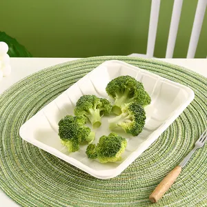 Custom Sugarcane Food Container Pack Paper Pulp Dish Plate Food Packing Tray Biodegradable Bagasse Plate