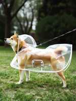 Poncho imperméable transparent et simple pour chien avec capuche, en polyester, motif à pois d'Halloween, pour petits/moyens/grands chiens